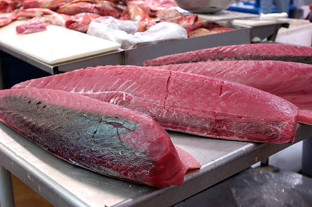 istock Fresh Ahi Tuna Processed and Ready for Market 174688943