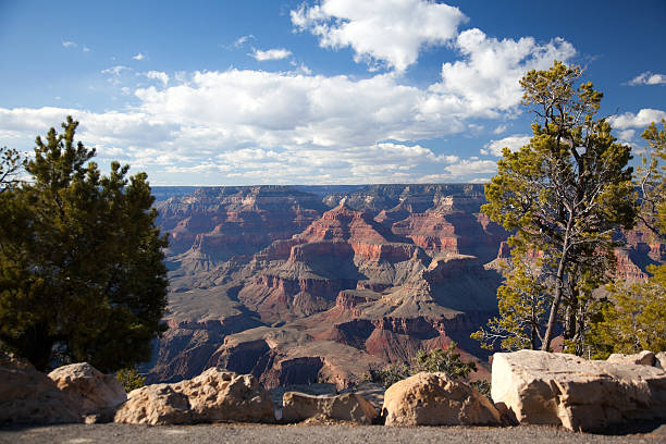 istock Grand Canyon South rim 174689010
