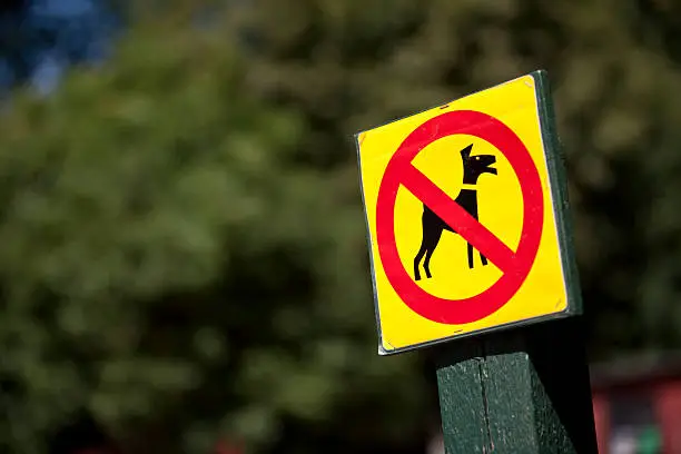 "No dogs sign in a park on a summer day, copy space."