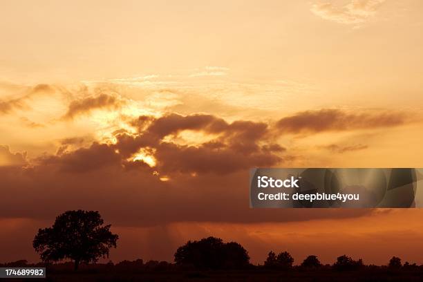 Photo libre de droit de Coucher De Soleil Coloré Avec Des Arbres En Arrièreplan banque d'images et plus d'images libres de droit de Acacia