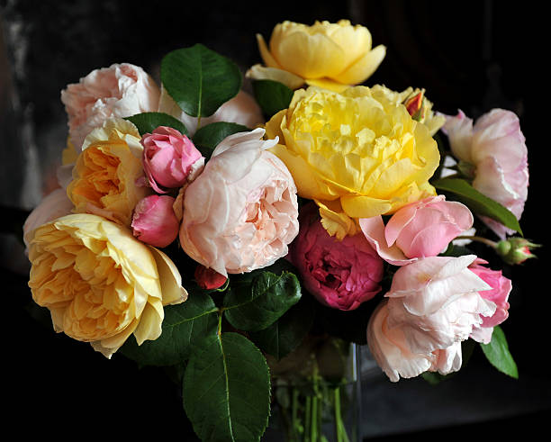 Summer roses A vase of cut roses from an English garden in summer english rose stock pictures, royalty-free photos & images