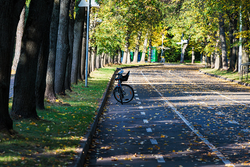 Bicycle in autumn park, Moscow