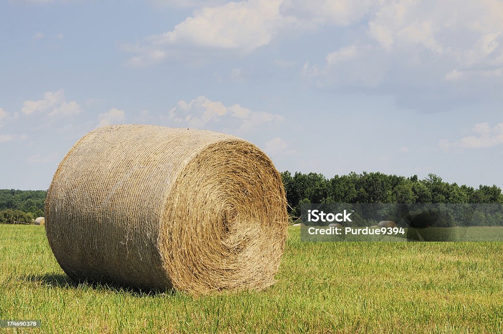 Haybales em uma fazenda de Indiana Pasture - Foto de stock de Agricultura royalty-free