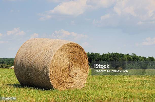 Foto de Haybales Em Uma Fazenda De Indiana Pasture e mais fotos de stock de Agricultura - Agricultura, Campo, Centro-oeste dos Estados Unidos