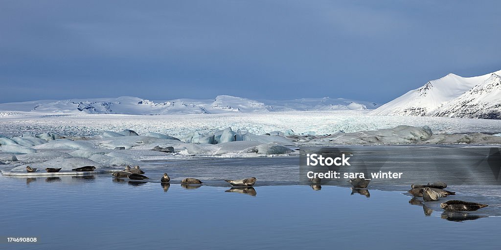 Juntas en glaciar de jökulsárlón lago en Islandia en invierno - Foto de stock de Agua libre de derechos