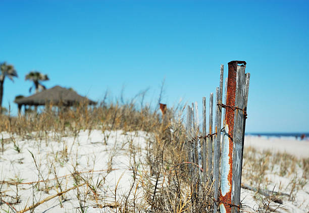 Dune Fence along Fernandina Beach on Amelia Island Florida Please click my private lightbox links below for more images like this -- Thanks!The Main Beach in Fernandina Beach on Amelia Island Florida. fernandina beach stock pictures, royalty-free photos & images