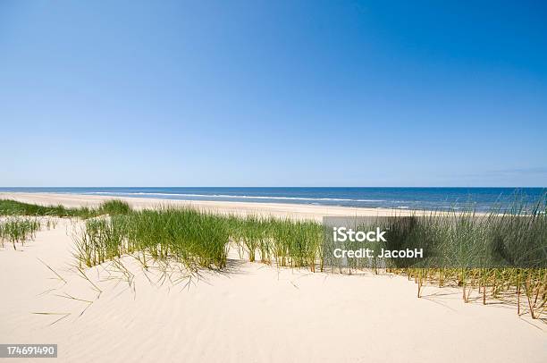 Mar De Arena Y Las Dunas Foto de stock y más banco de imágenes de Duna de arena - Duna de arena, Playa, Aire libre