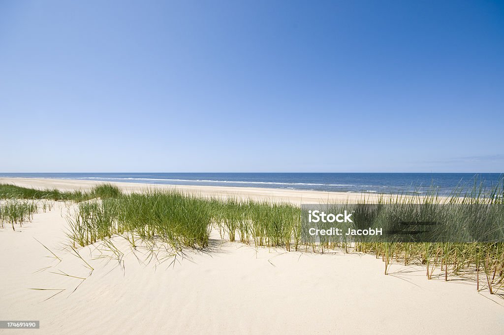 La mer, le sable et les Dunes - Photo de Dune de sable libre de droits