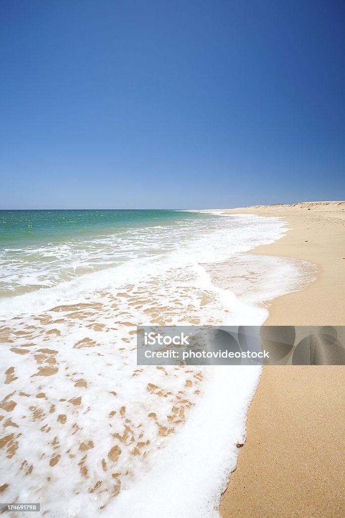 Spieniona shoreline - Zbiór zdjęć royalty-free (Algarve)