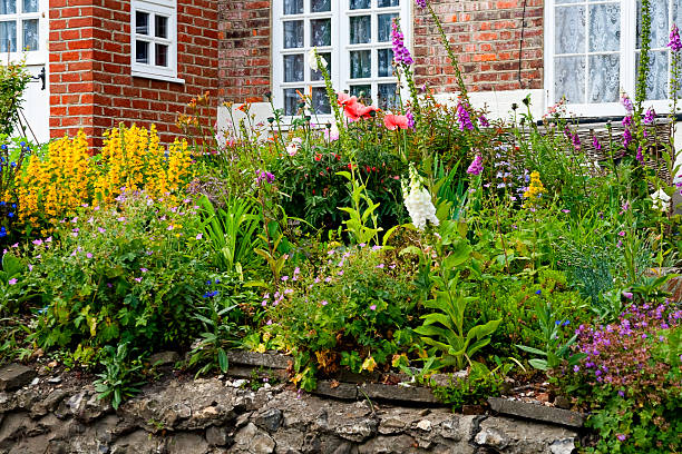 istock Old fashioned English cottage garden 174691963