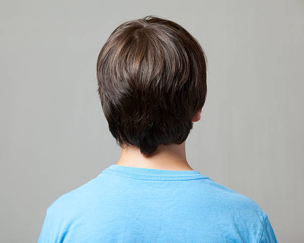 Back of Boy's Head A young boy faces away from the camera. Isolated on gray.http://s3.amazonaws.com/drbimages/m/phibob.jpg back of head photos stock pictures, royalty-free photos & images