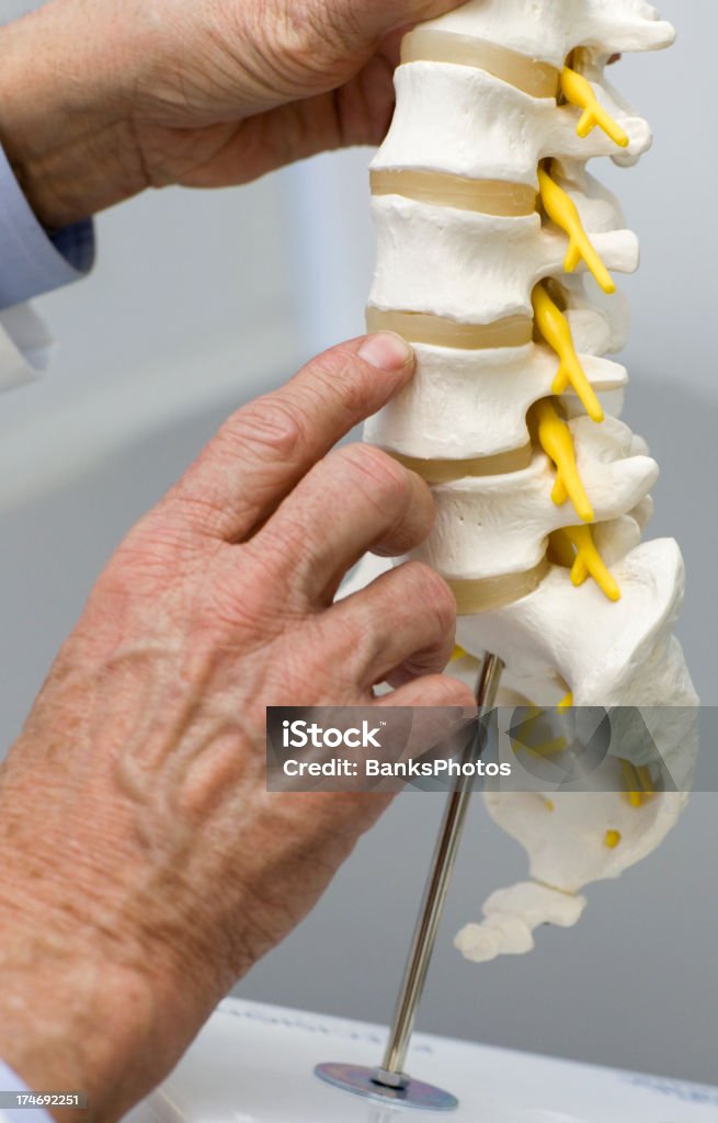 Médico a apontar na espinal Disco - Royalty-free Coluna vertebral - Parte do corpo Foto de stock