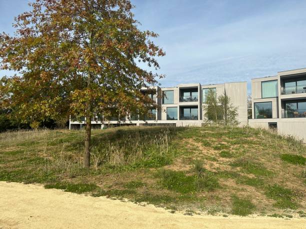 istock Model residential eco-friendly area in Netherlands 1746923345