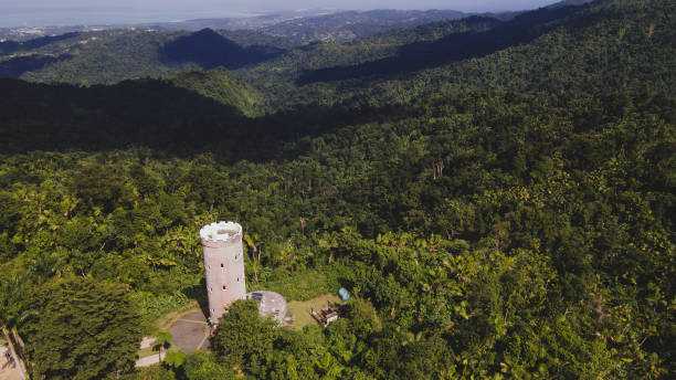 aerial view of Yokahu Tower in El Yunque forest Puerto Rico aerial view of Yokahu Tower in El Yunque forest Puerto Rico . High quality photo el yunque rainforest stock pictures, royalty-free photos & images