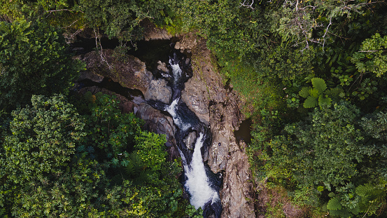 Small cascade in El Yunque national forest, Puerto Rico. High quality photo