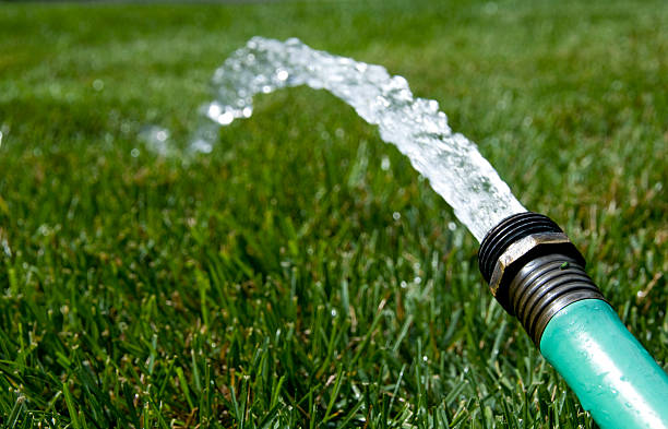 Garden Hose Flowing Water water pouring on to the green grass on a hot summer day.See more related images in my Lawnmower & Gardening lightbox: garden hose photos stock pictures, royalty-free photos & images