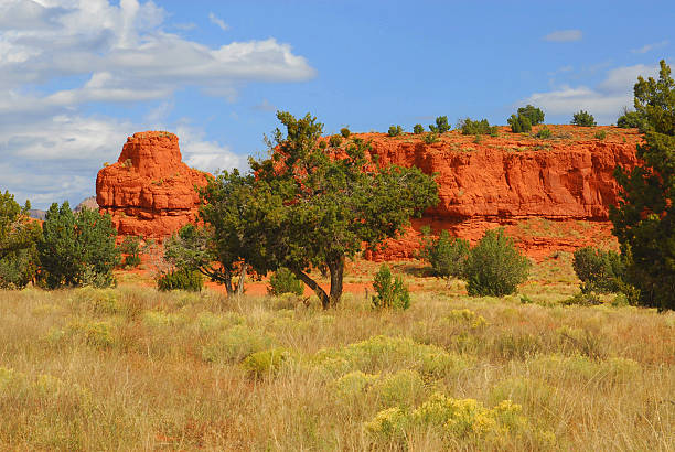 Red Rocks stock photo