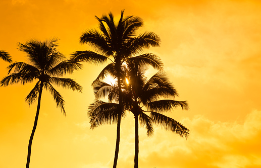 Sunset in Hawaii.