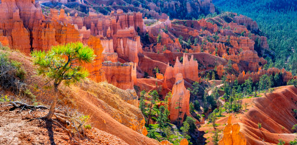 istock Bryce Canyon National Park 1746935144