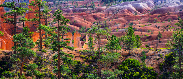 Hoodoos in Bryce Canyon, seen from Sunset Point in Bryce Canyon National Park, Utah.