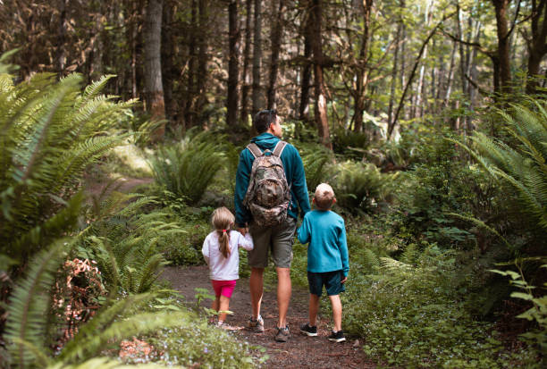 istock Father, son and daughter walking through a forest in Washington state. 1746935750