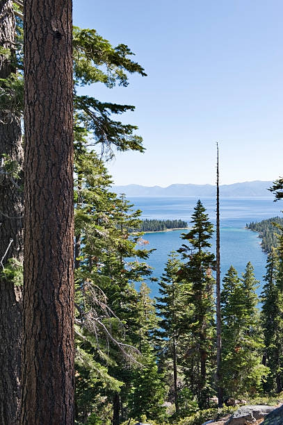 istock a high angle view of Lake Tahoe 174693769