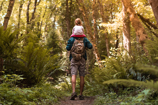 Father and daughter walking through the forest.