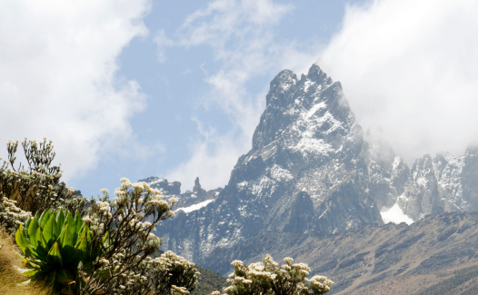 Storm approaching the summit of Mt Kenya with highland plants in the foreground