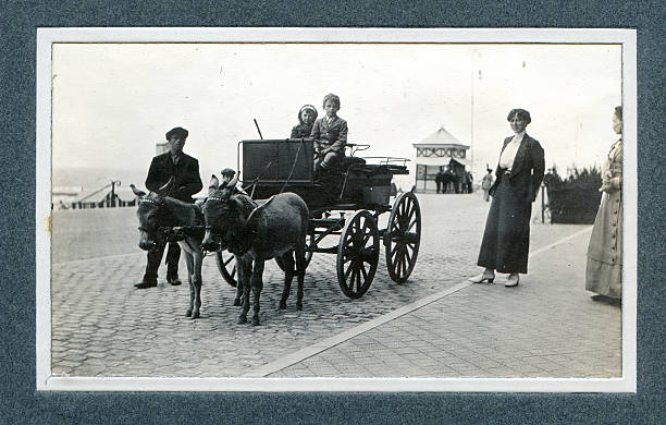 edwardian holiday children and donkey carriage - foto vintage - kereta kuda ditarik kuda foto potret stok, foto, & gambar bebas royalti