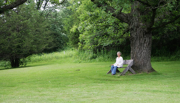 istock Beautiful Senior Woman Sitting Under Oak Tree 174694469