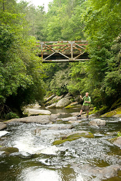istock Fly Fishing 1 174694651