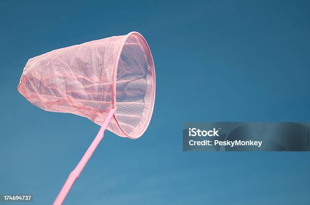 Rosa Caza Mariposas En Cielo Azul Foto de stock y más banco de imágenes de Caza Mariposas - Caza Mariposas, Aire libre, Atrapar