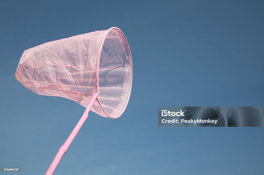 Rosa Acchiappafarfalle in Blue Sky - Foto stock royalty-free di Acchiappafarfalle