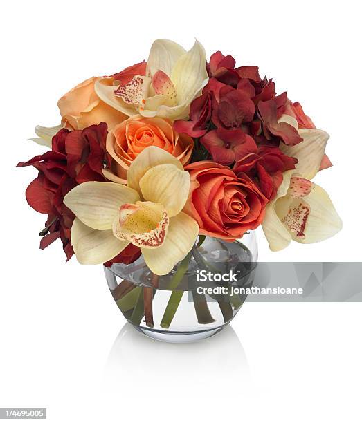 Rose Hydrangea And Orchid Bouquet On White Background Stock Photo - Download Image Now