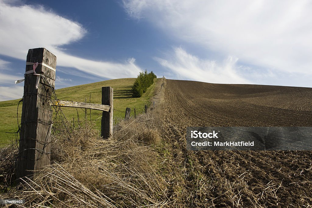 Campo arato - Foto stock royalty-free di Agricoltura