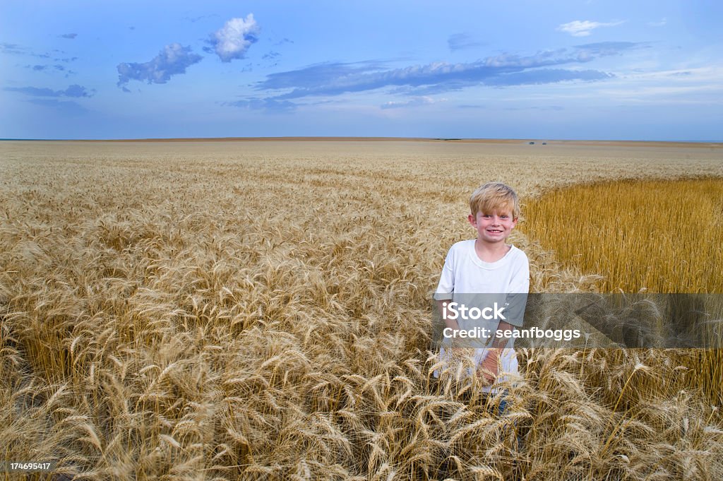 Retrato de niño medio Rural en un campo de trigo - Foto de stock de Agricultor libre de derechos