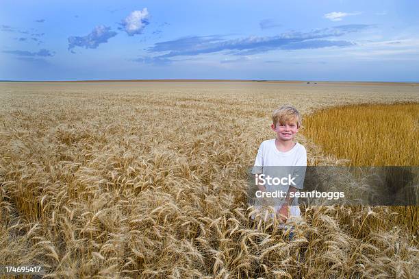 Retrato De Niño Medio Rural En Un Campo De Trigo Foto de stock y más banco de imágenes de Agricultor - Agricultor, Kansas, Agricultura