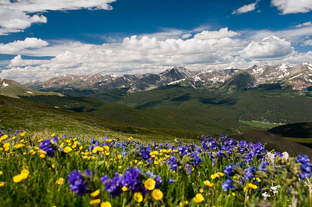 Mountain Range in the Rockies stock photo