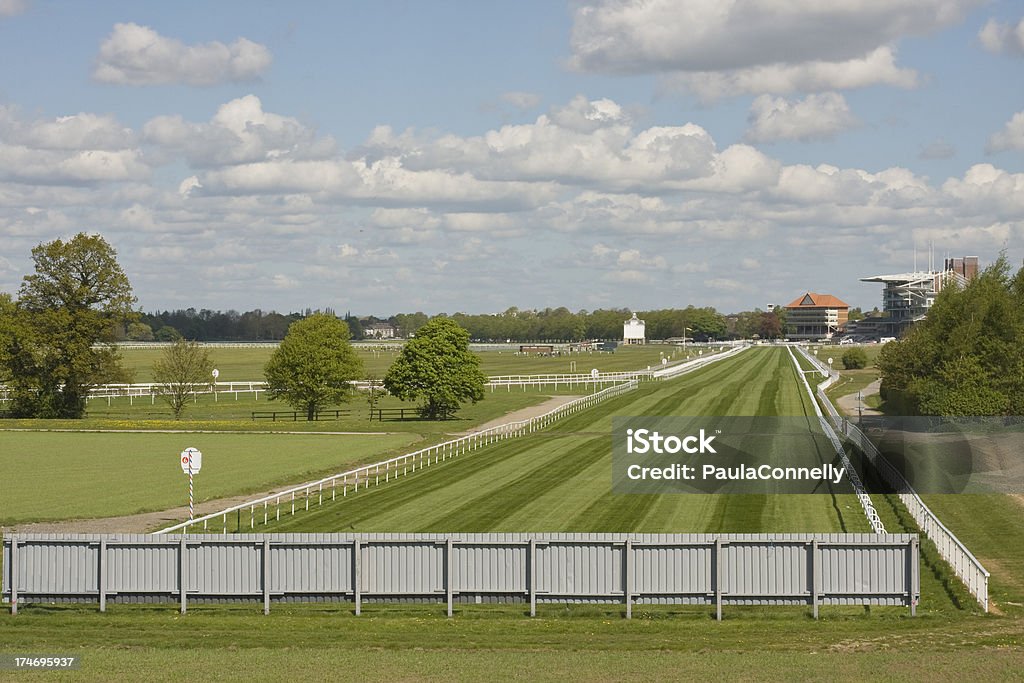 Wyścigi konne w York - Zbiór zdjęć royalty-free (Wyścig konny)