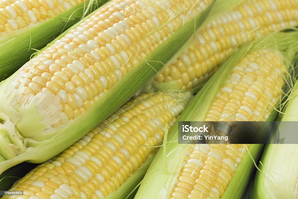 Fresh Sweet Corn Still Life Hz Subject: Summer fresh sweet corn on the cob. Corn On The Cob Stock Photo