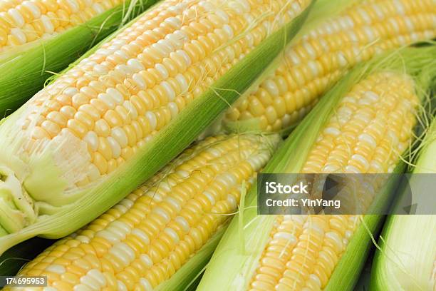 Fresh Sweet Corn Still Life Hz Stock Photo - Download Image Now - Corn On The Cob, Sweetcorn, Cereal Plant