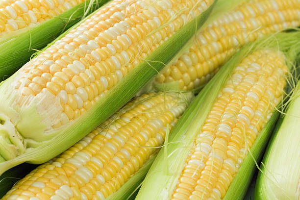 свежие sweet кукуруза натюрморт гц - corn on the cob стоковые фото и изображения