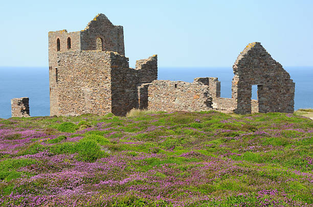 istock Remnants of tin mine with heather and ocean 174696066