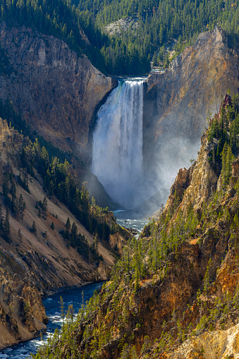 Yellowstone Falls in Autumn