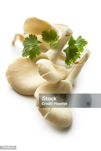 Componentes Ostra Cogumelos E Coentro - Fotografias de stock e mais imagens de Erva - Erva, Outono, Alimentação Saudável