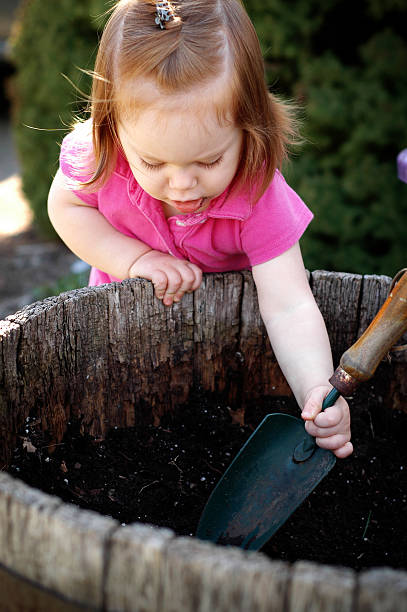 istock Little Girl Using a Spade to Dig in Dirt 174696426