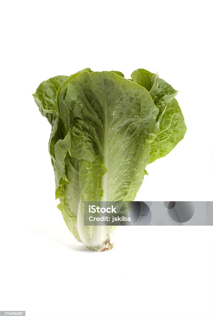 Head of romaine lettuce on white background Freah head of romaine lettuce on white backgroundVertical Close-up Stock Photo