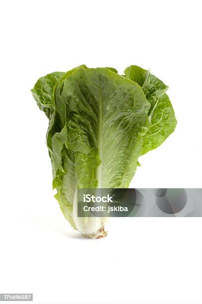 Head Of Romaine Lettuce On White Background Stock Photo - Download Image Now - Close-up, Color Image, Crop - Plant