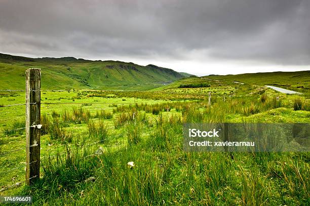 Paisaje Escocés Foto de stock y más banco de imágenes de Aire libre - Aire libre, Aislado, Ajardinado