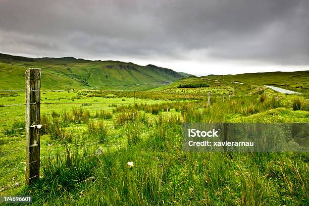 Paisagem Escocês - Fotografias de stock e mais imagens de Ajardinado - Ajardinado, Ao Ar Livre, Charneca